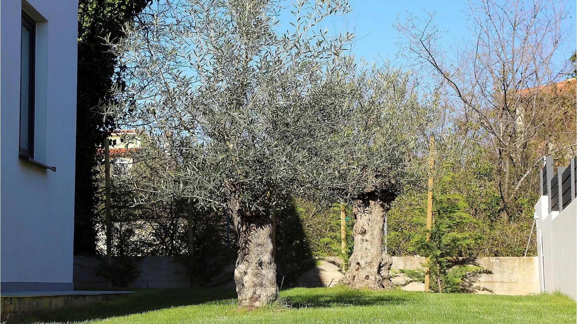 Villa Rosarol Medulin Holiday home